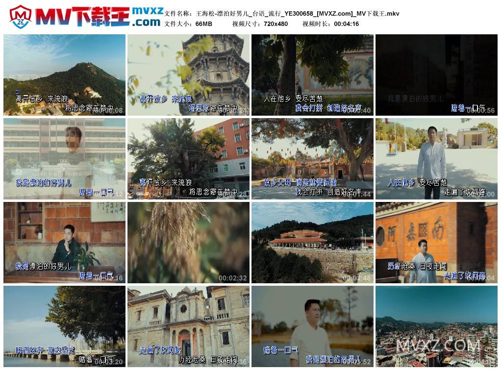 王海松-漂泊好男儿_台语_流行_YE300658